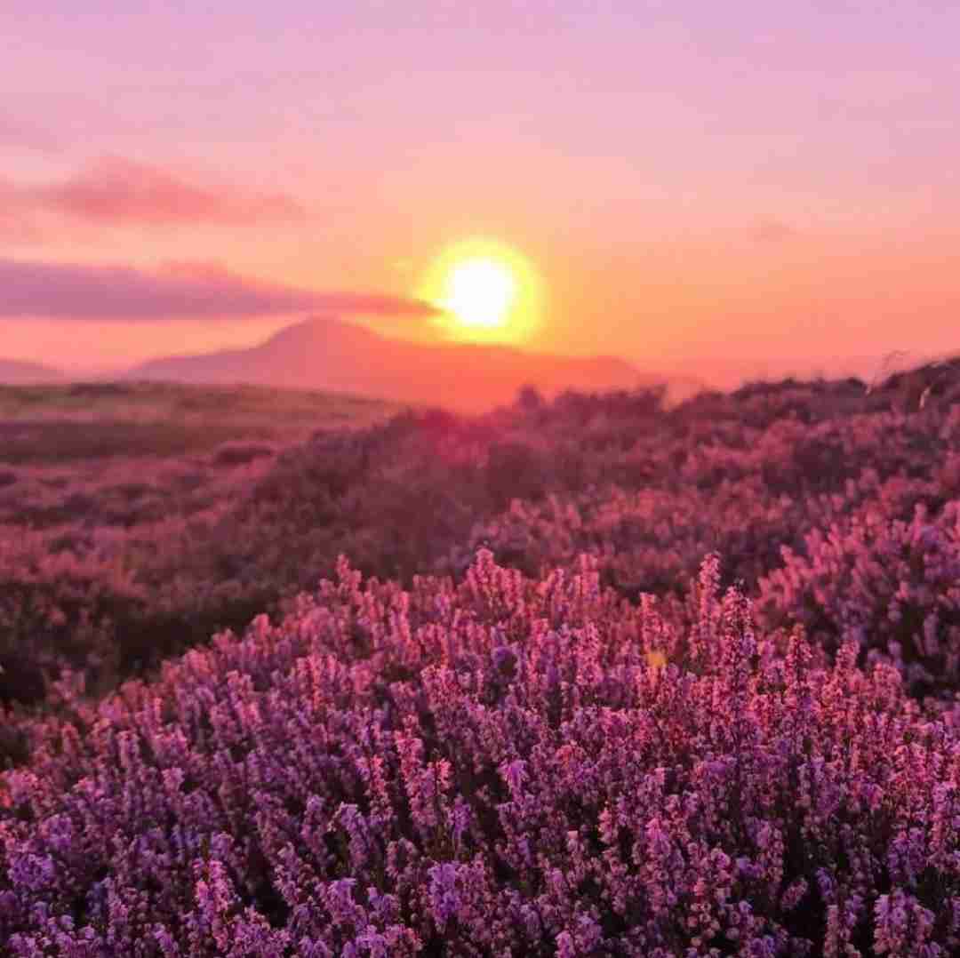 مراقب خودت باش منو که نشناختی خودتو بشناس