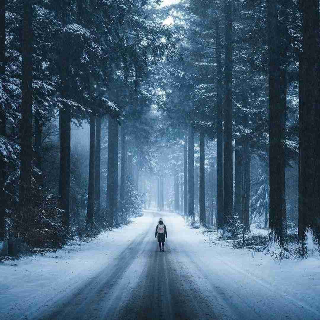  تو که تو قلبو وجودم خونه کردی