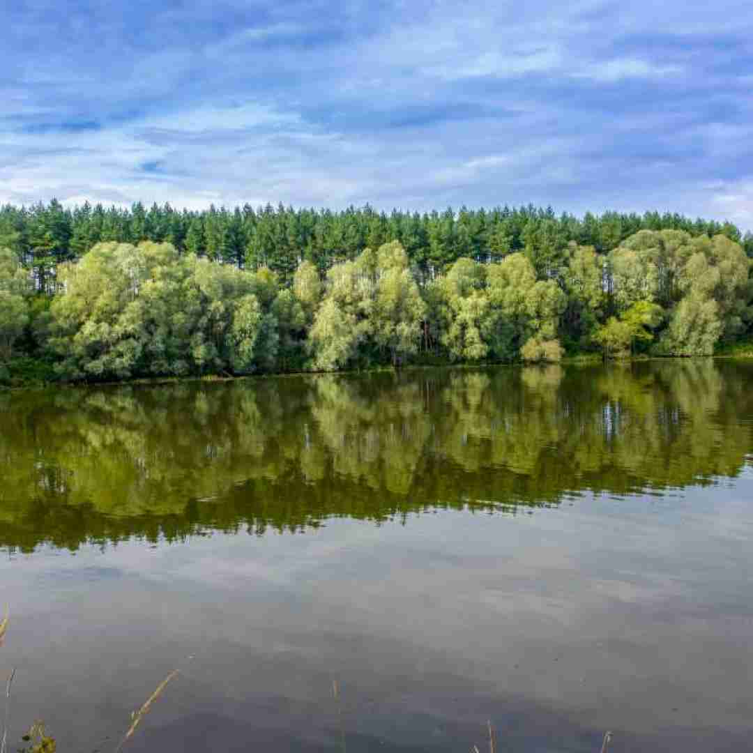 عجب گیری افتادم عجب چرا انقدر به تو دور دادم اصلا