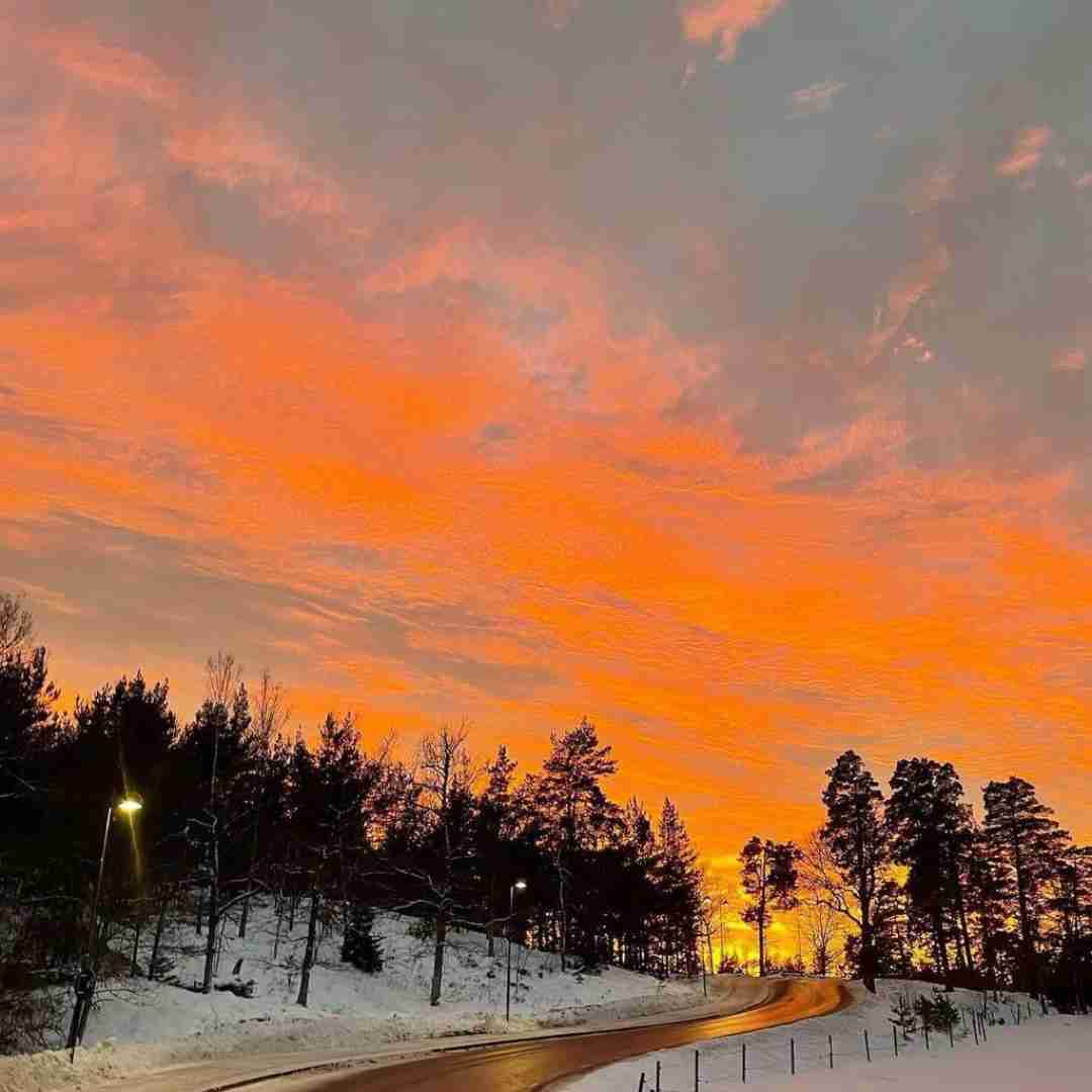 امیر سلیمی پدر