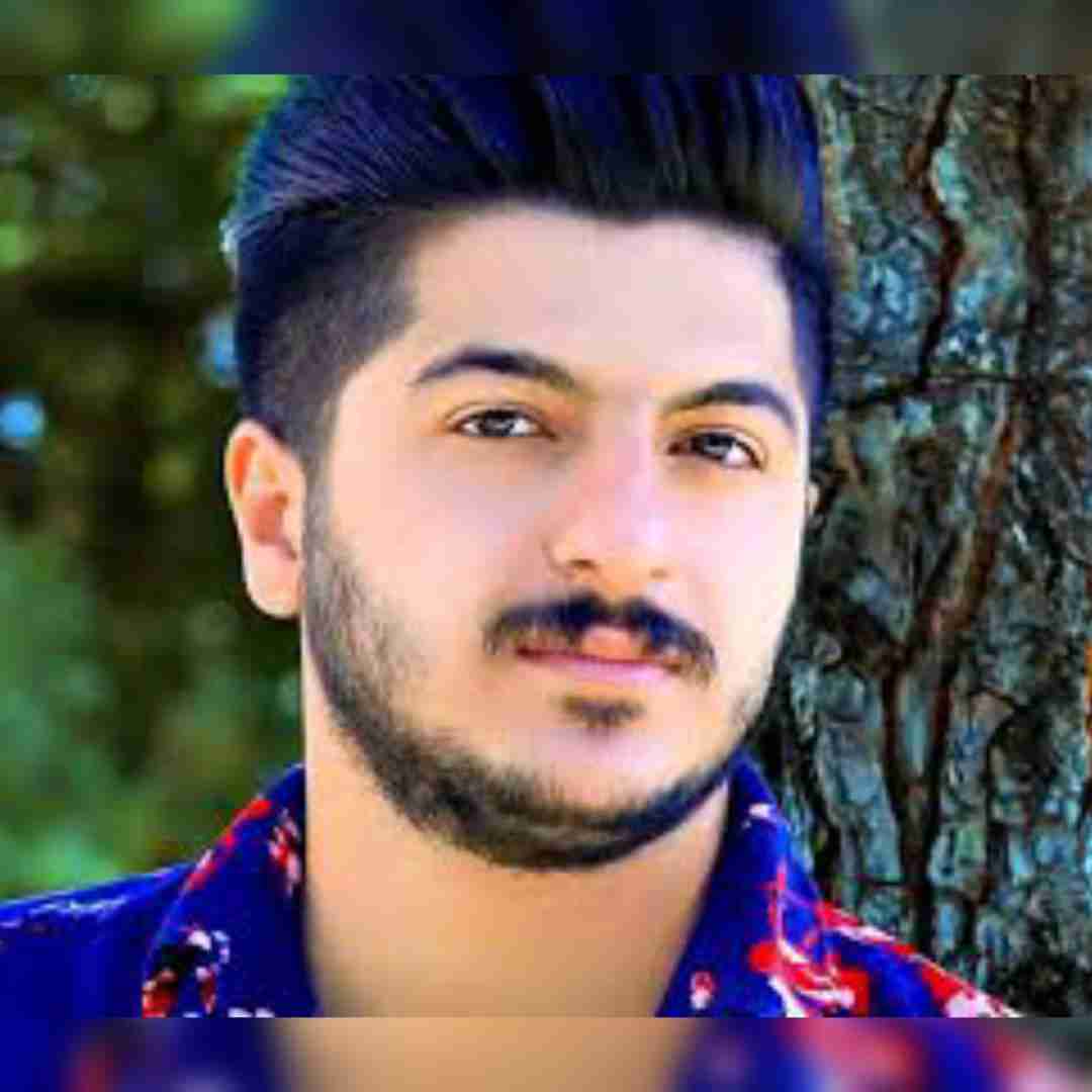 امیر سیاوشی دوتار
