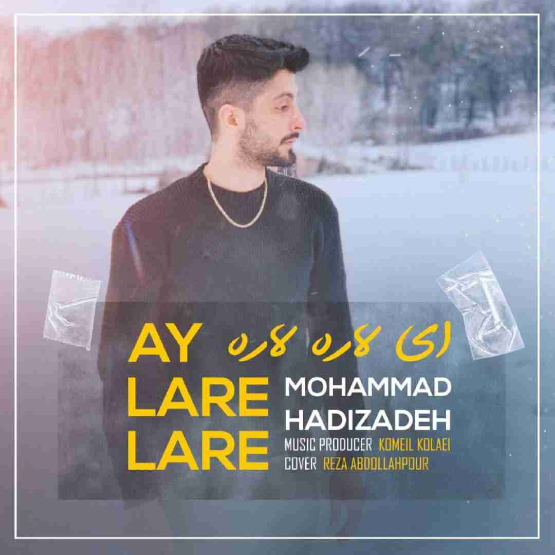 محمد هادی زاده ای لاره لاره