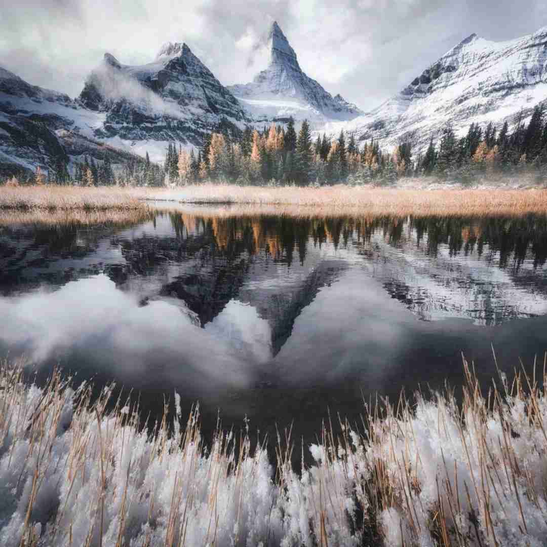 دیجی نیما زد آخرین شب