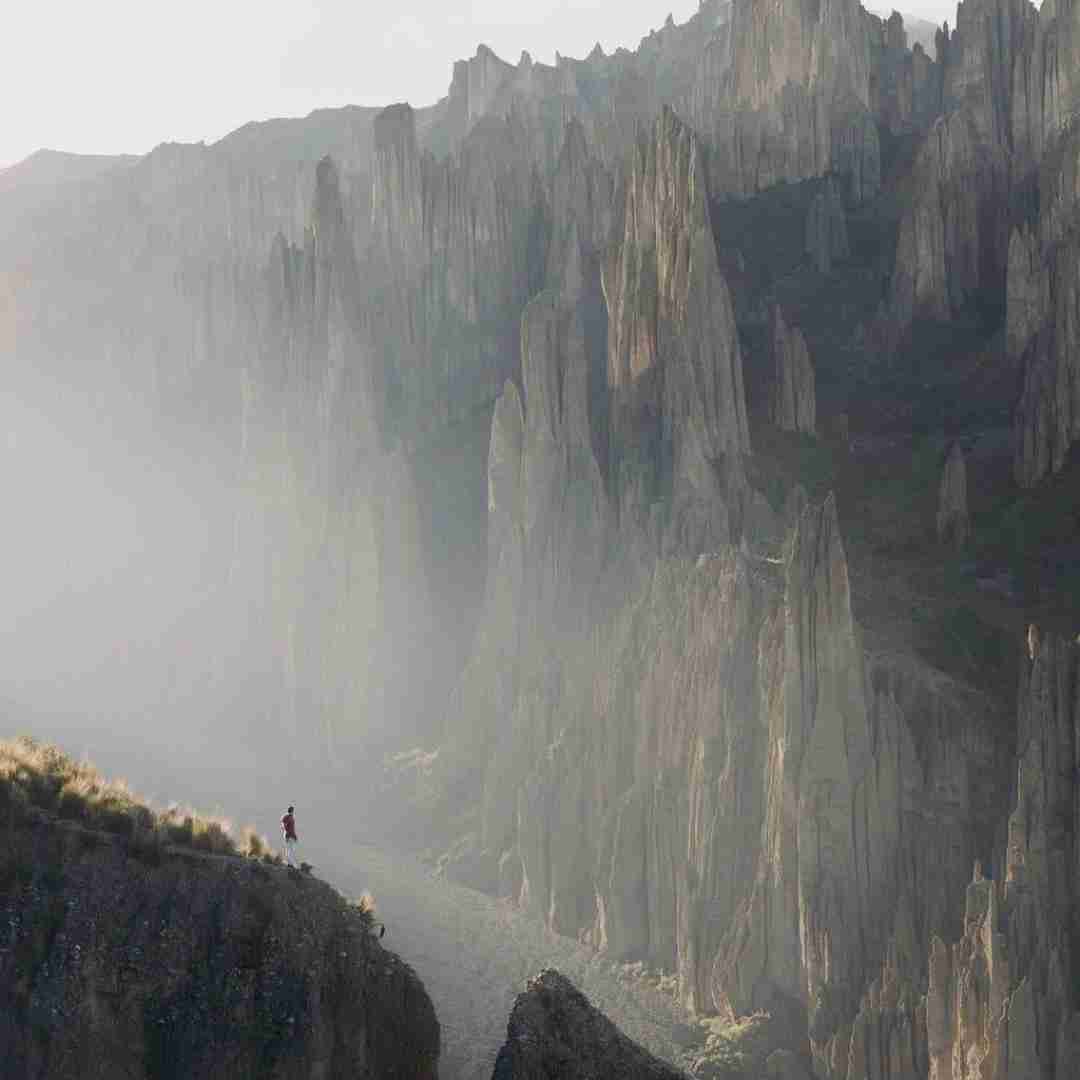 فاطمه عطایی امیری