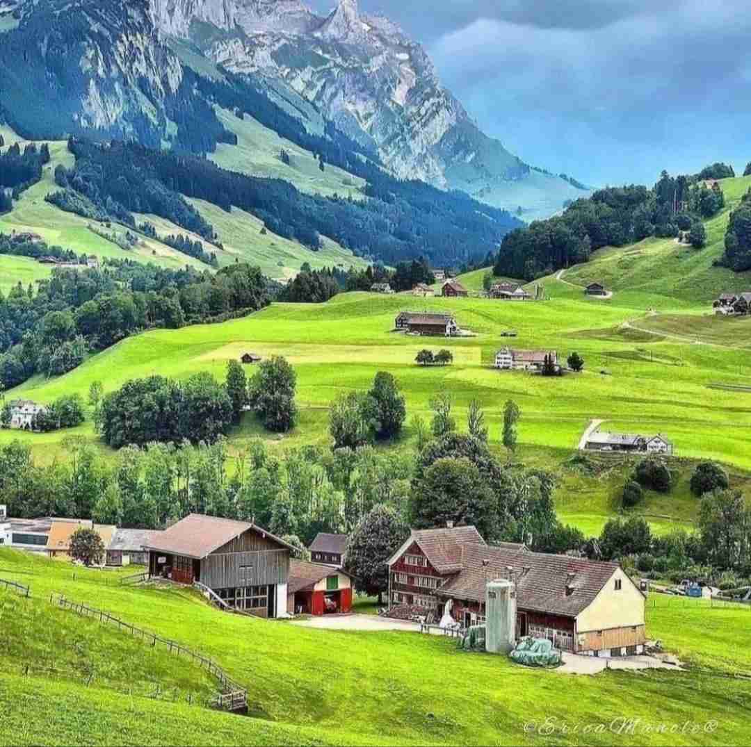 قلبمو برداشت گرفت تو دستاش با صدای دختر