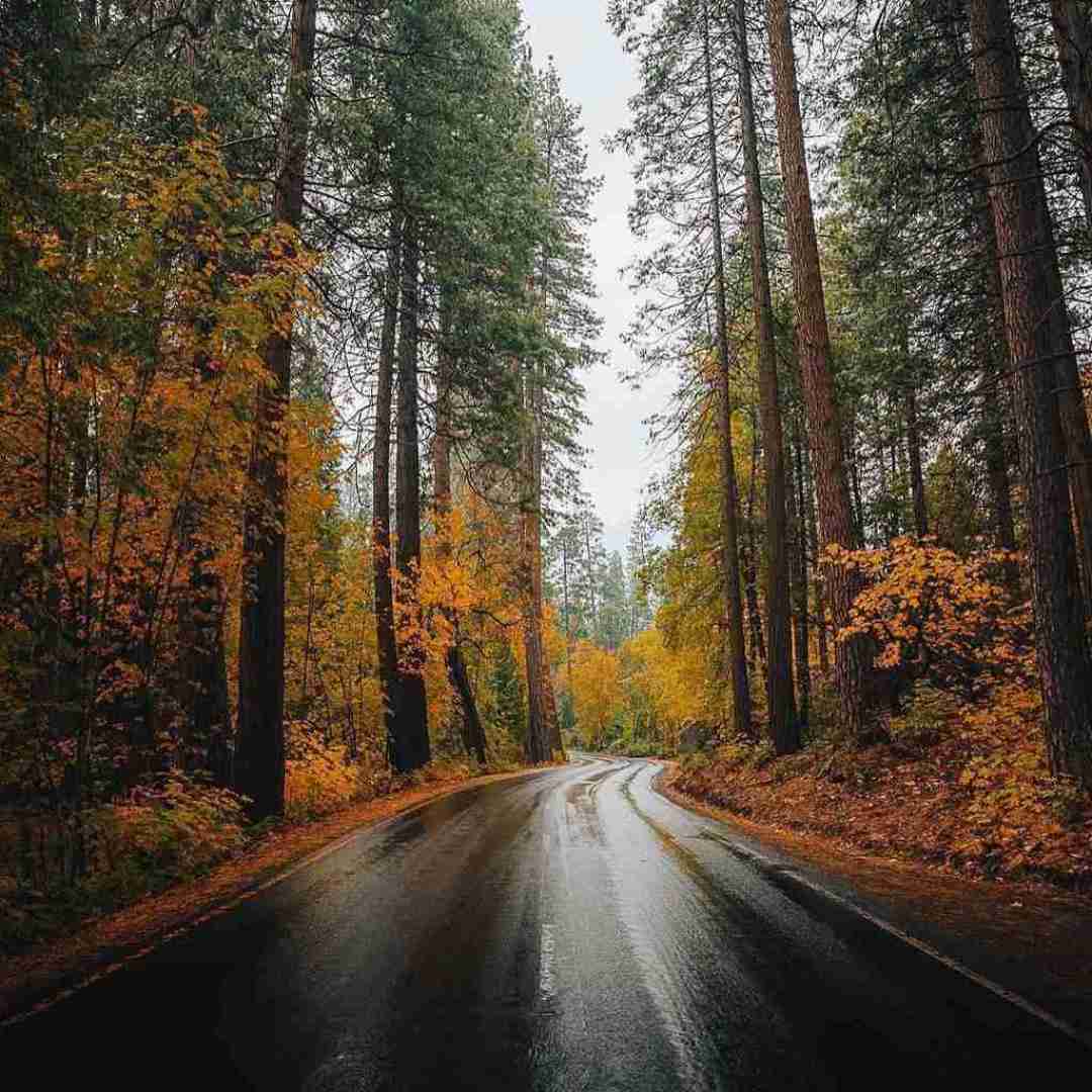 زیر بارونا گمم یعنی بی تو چی میشه با صدای دختر