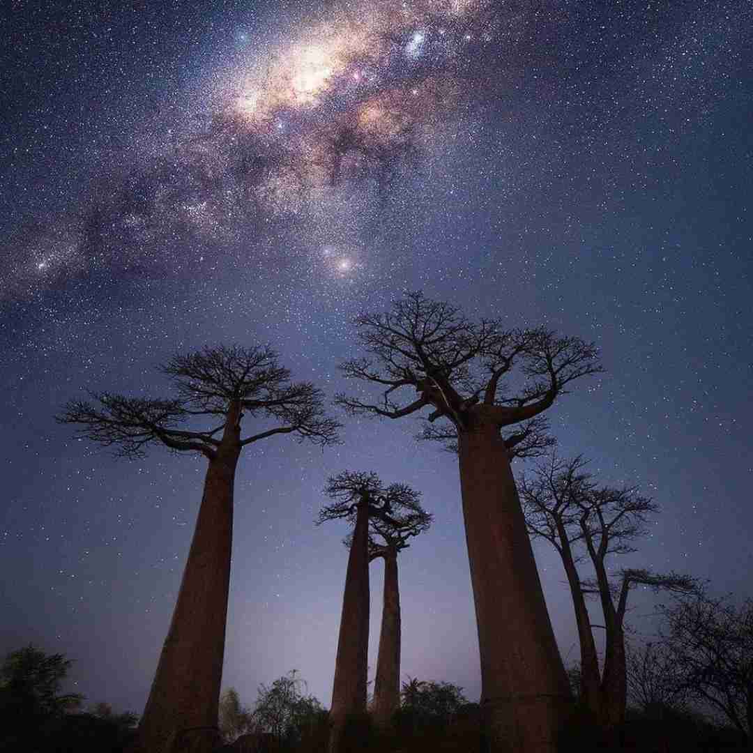 باشه من بد اصلا از این به بعد راحت باش با صدای دختر