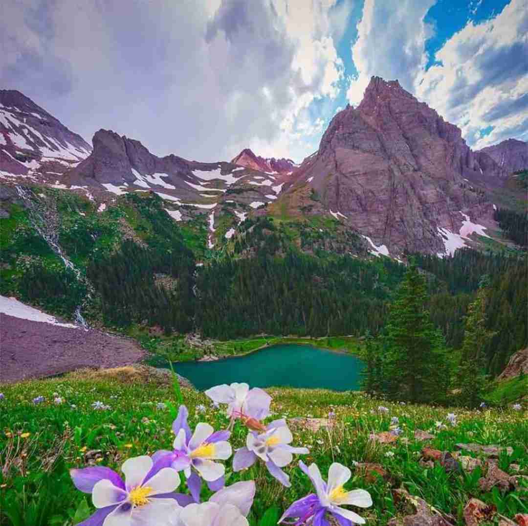 لری راننده شوتی چته دل نگرونی