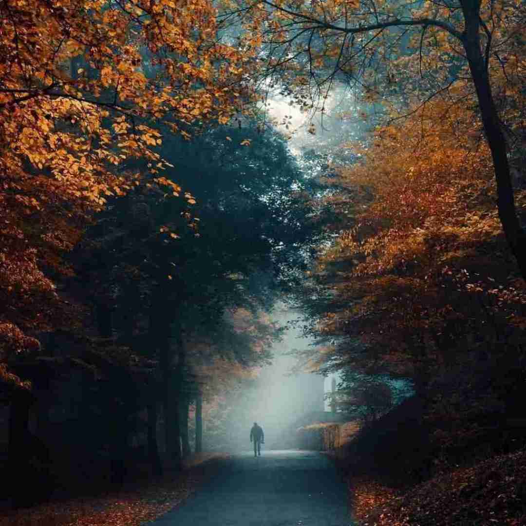  یادش بخیر روزایی که گل یاست بودم با صدای دختر