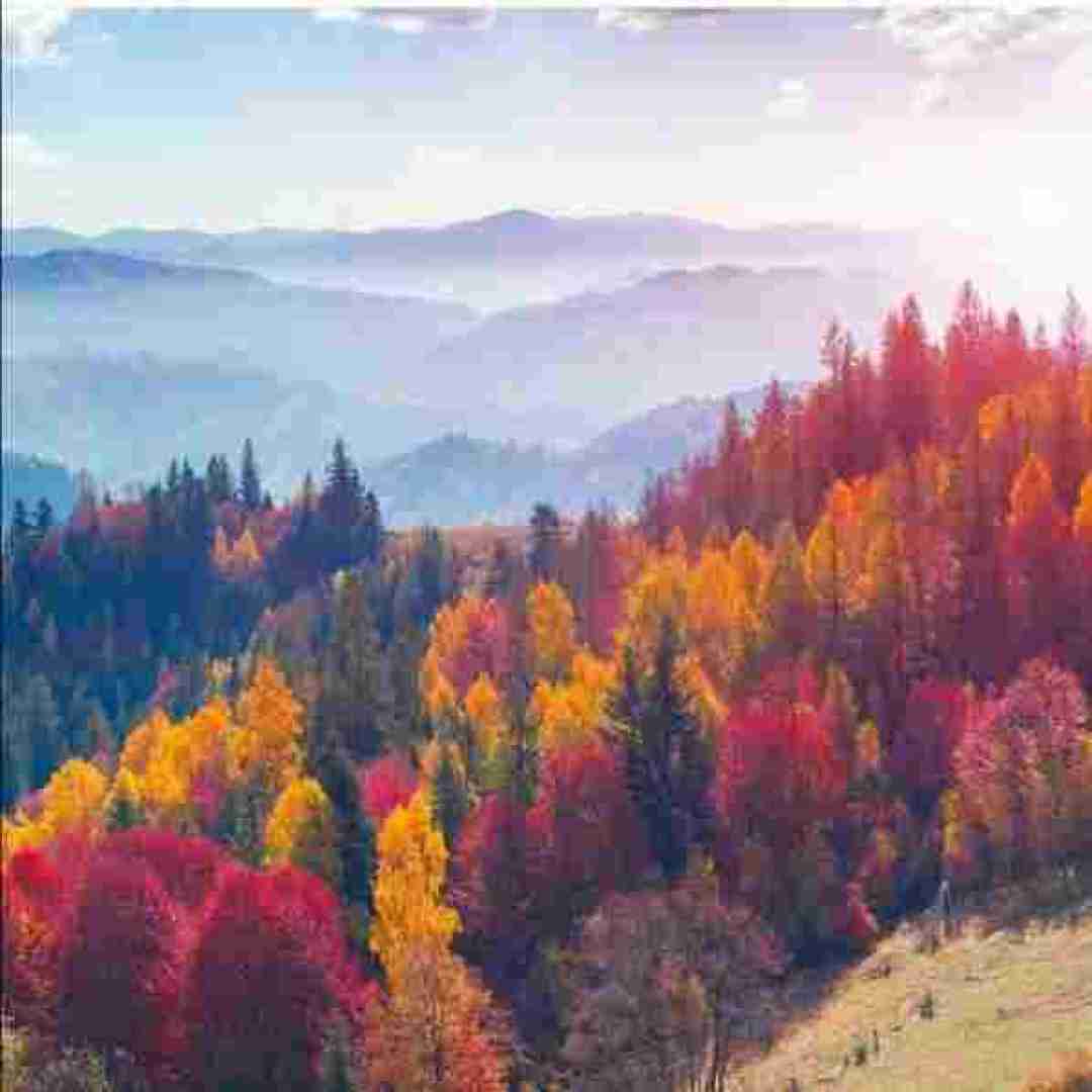  نارفیق مهدی یغمایی با صدای معین (هوش مصنوعی)