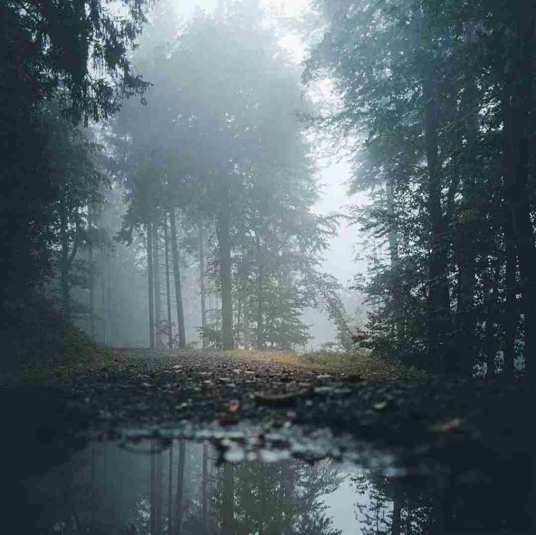  دوست دارم عاشقونه صدات کنم با صدای بچه