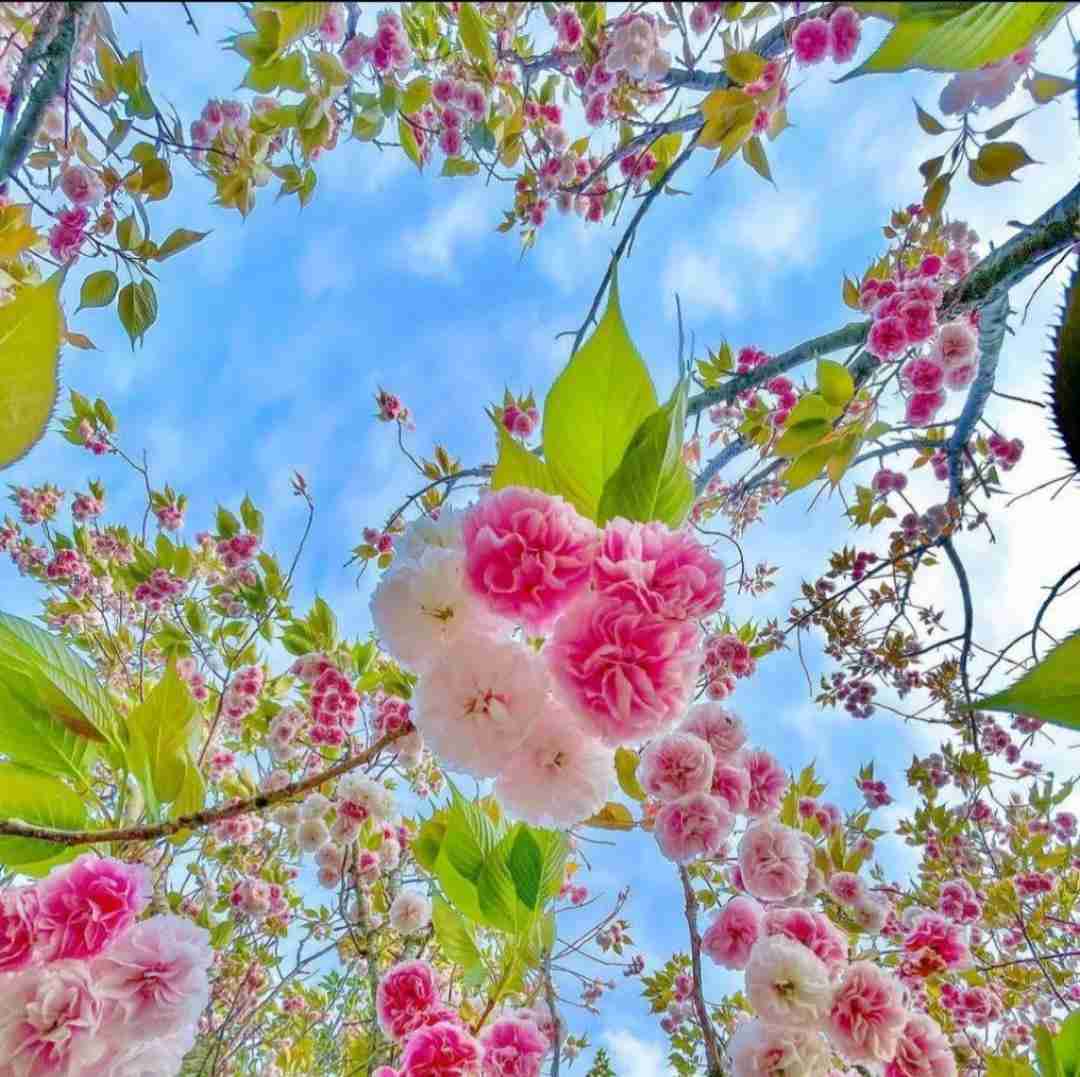 بی احساس نشو نذار این جا تنها بمونم آروم جونم