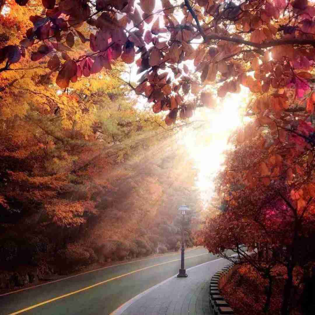 اگه چاقالی داشتش جایزه بعضیا میبردن گرمی