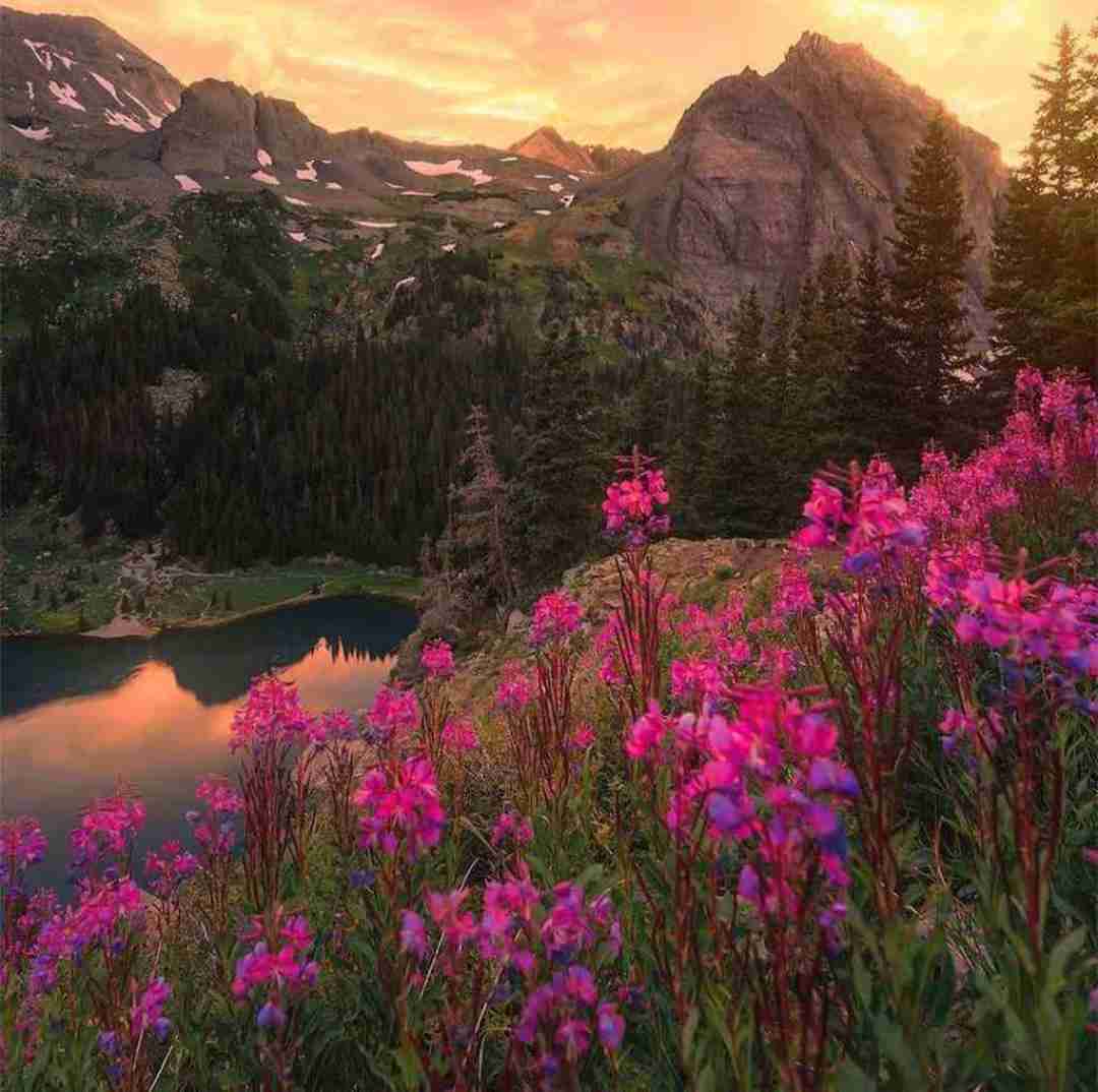 ای خدا کورم بکن من مال نگردم