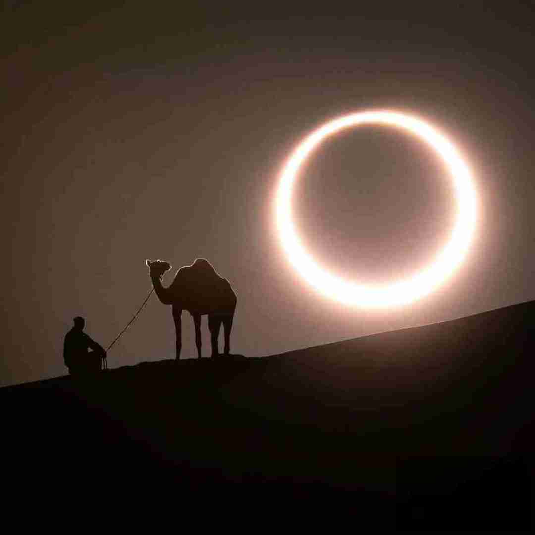 بی خبر از همدگر آسوده خوابیدن چه سود