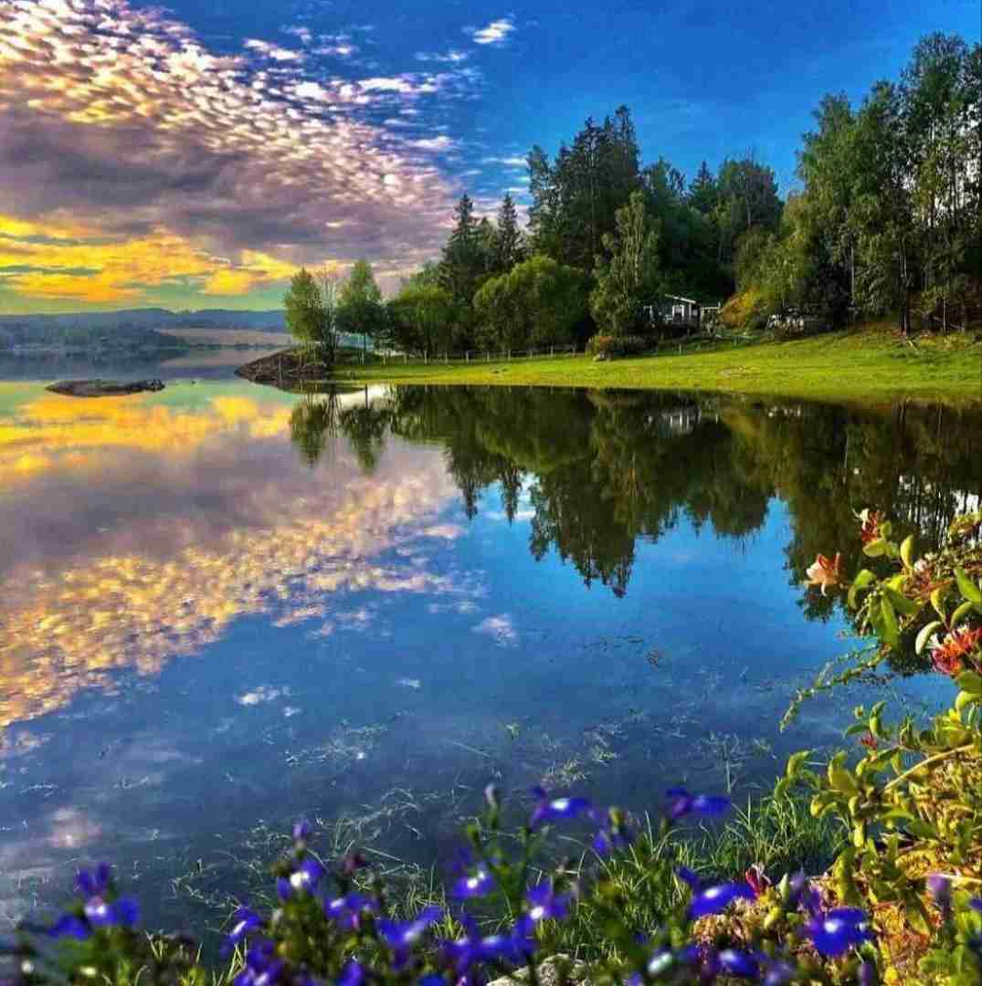 تو باربیه بندری آره آره والا پوستت سیاست