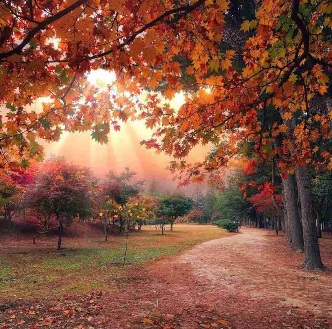 فک کن دعوتت کنه اون شب عروسیش