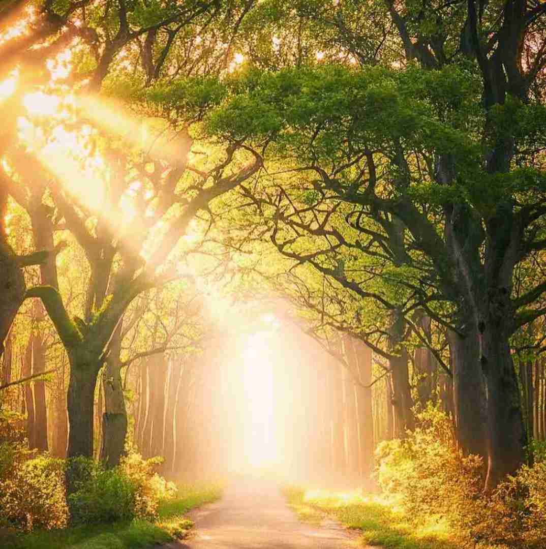 نمیتونم نه چی بود خوردم حالم بد