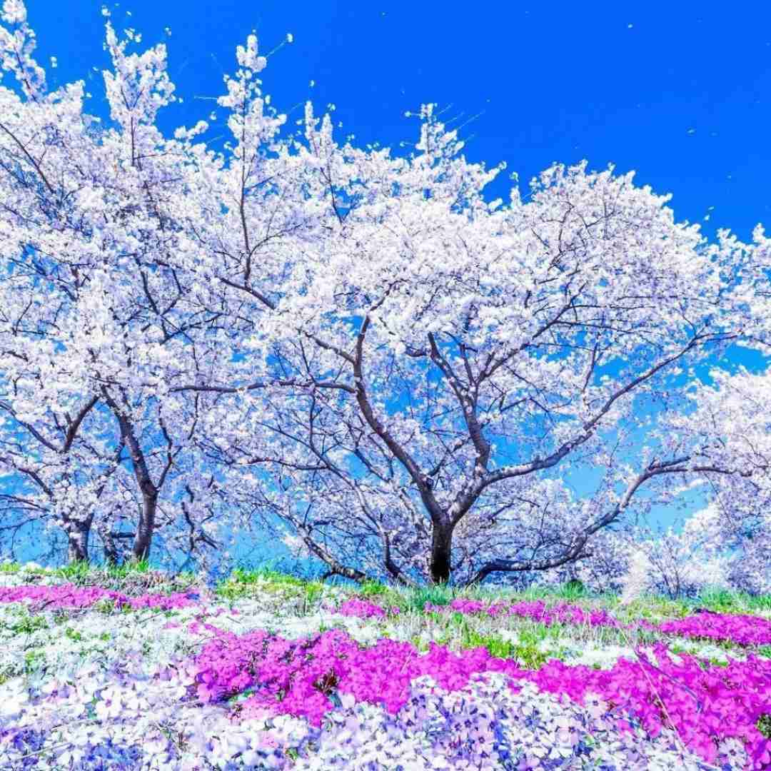 اشلی لوک ات می چالش ترند اینستاگرام