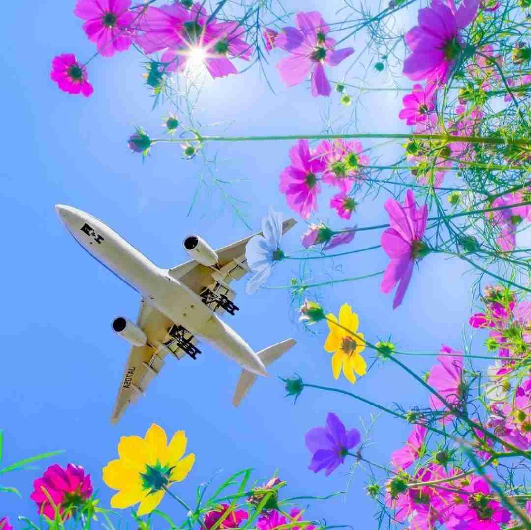 امشب تو دل شبم ستاره ام تویی با صدای زن