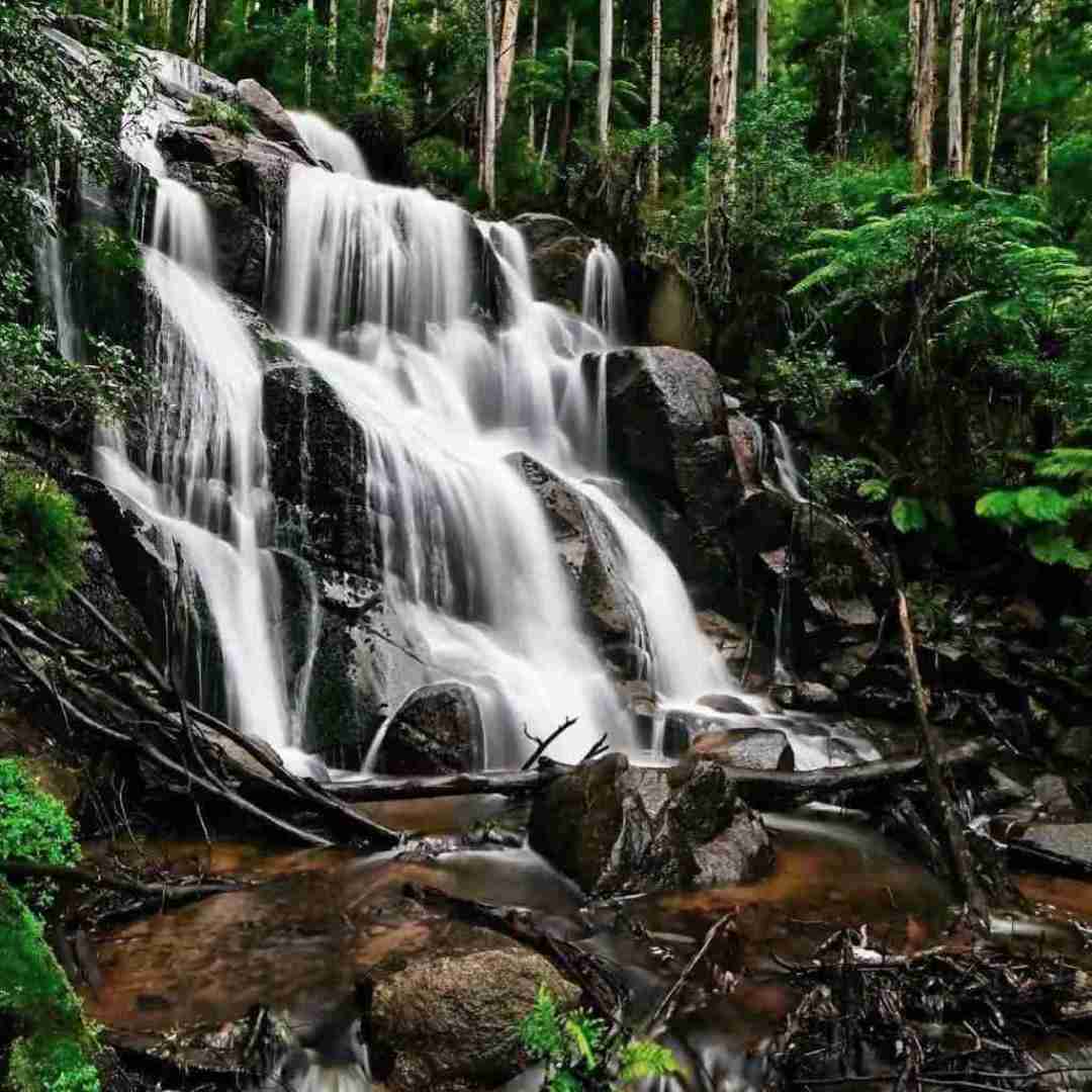 ببخشید مادرم زده باز به سرم خواستم این راهو نرم