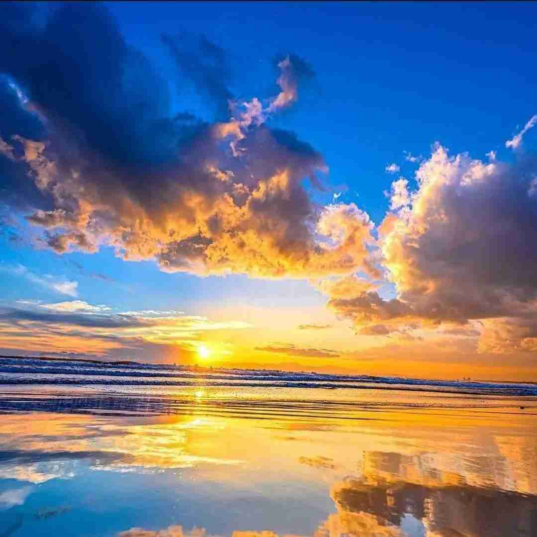  چرا صبح نمیشه یه چی توم مرده دیگه