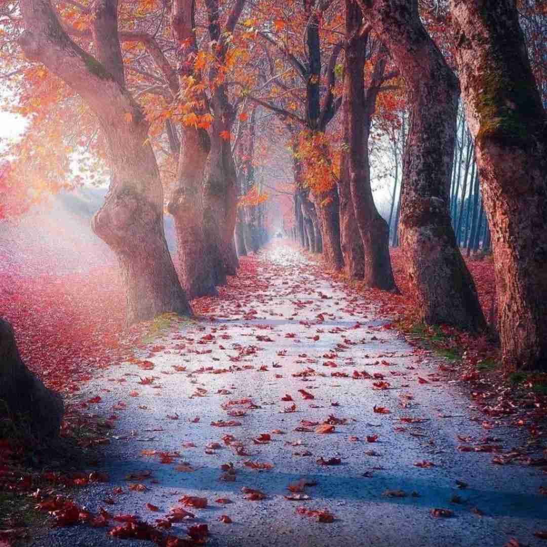  باز تهنایی وای تهنایی چه کنم مو با صدای بچه