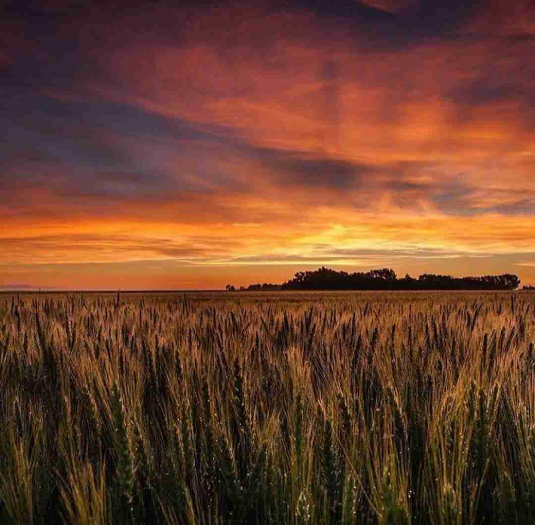 چطور اومده دلت من بی تو قلبم مرده برس