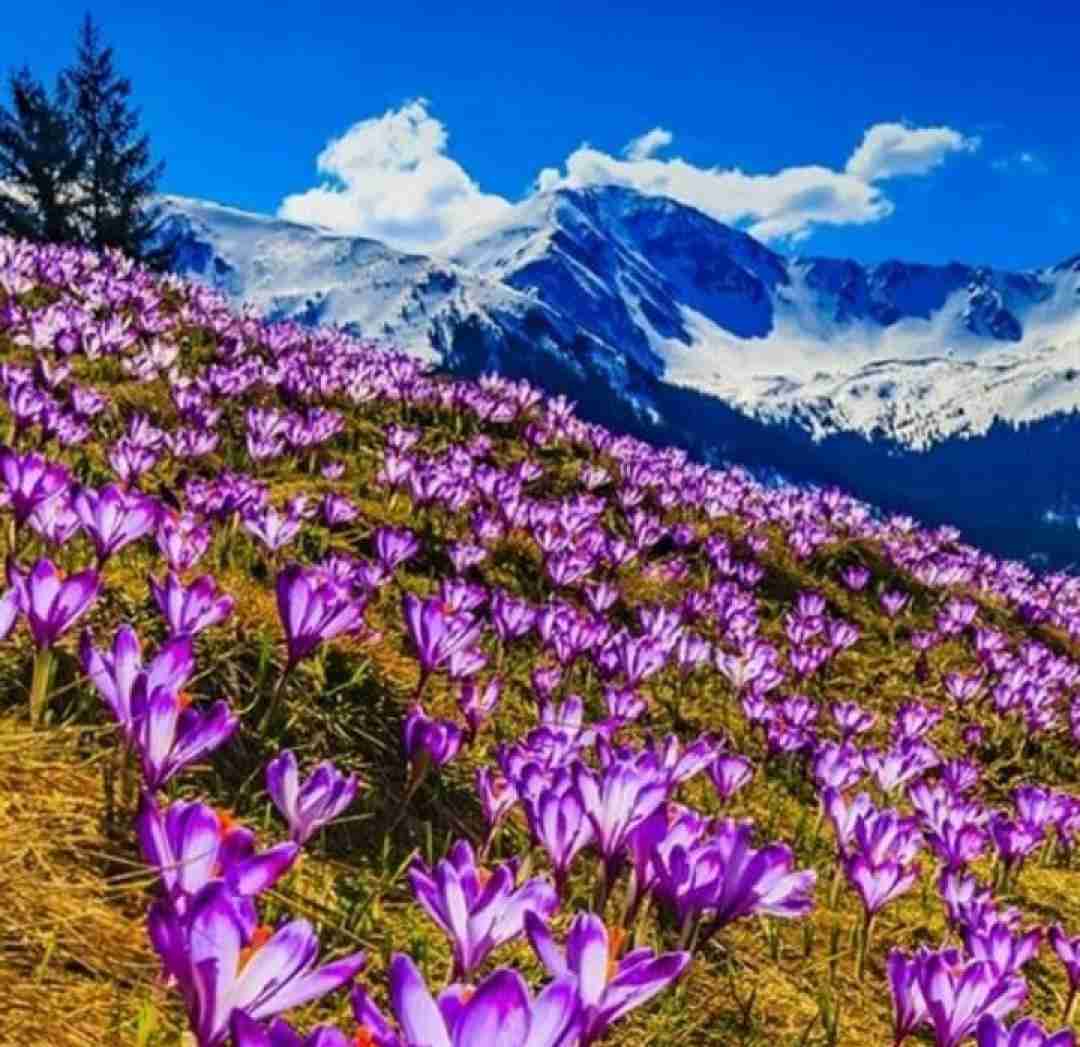 بگو کی ضرر کرد من یا تو نمیبافمشون هوش مصنوعی