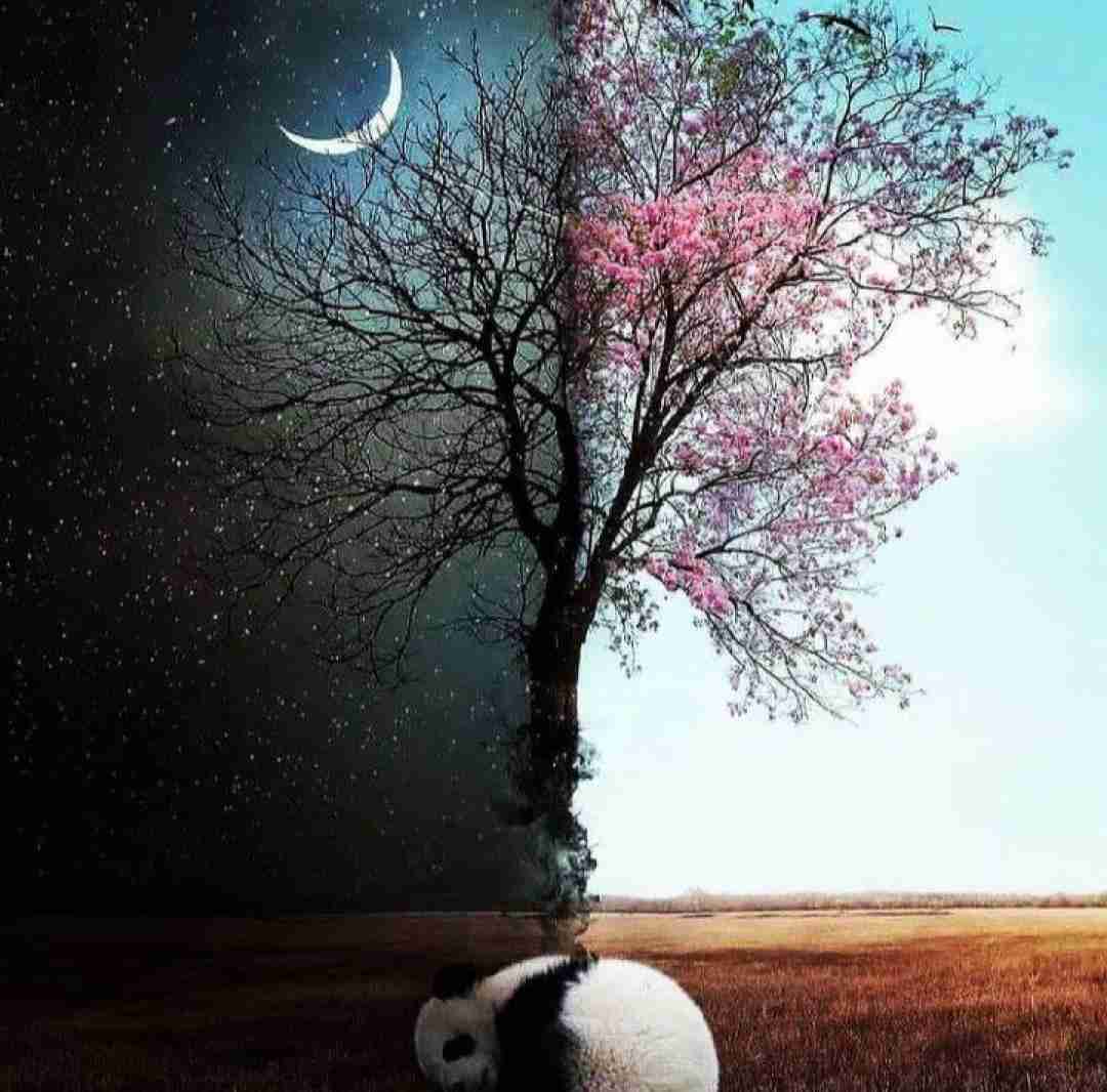 دوباره تو سرمه سمت تو بیام با صدای دختر