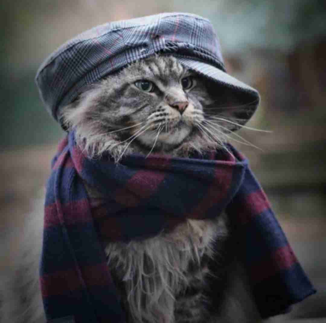 نمیدونم چرا غم تو خونمونه با صدای بچه