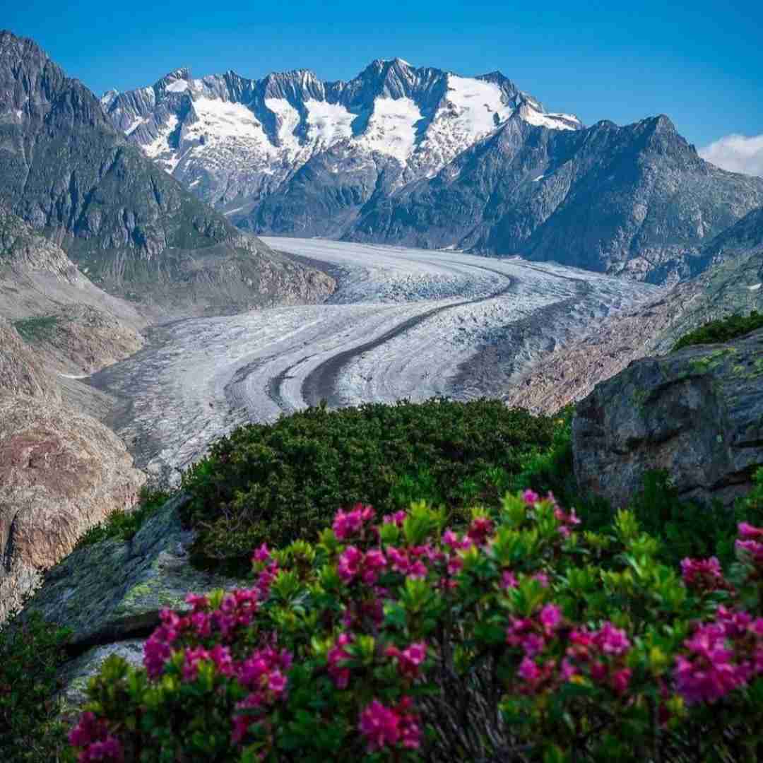 یادیما سن دوشنده ترند اینستاگرام و تیک تاک