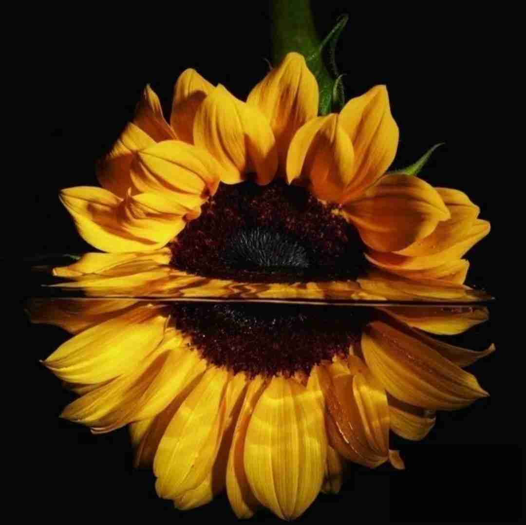  وای وای یاوروجاقیم سانا نلر با صدای بچه ترکی