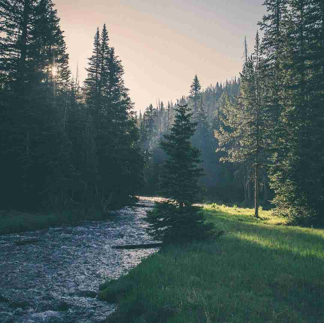ما دوتا دوتا گل بودیم یه گوشه با صدای زن هوش مصنوعی
