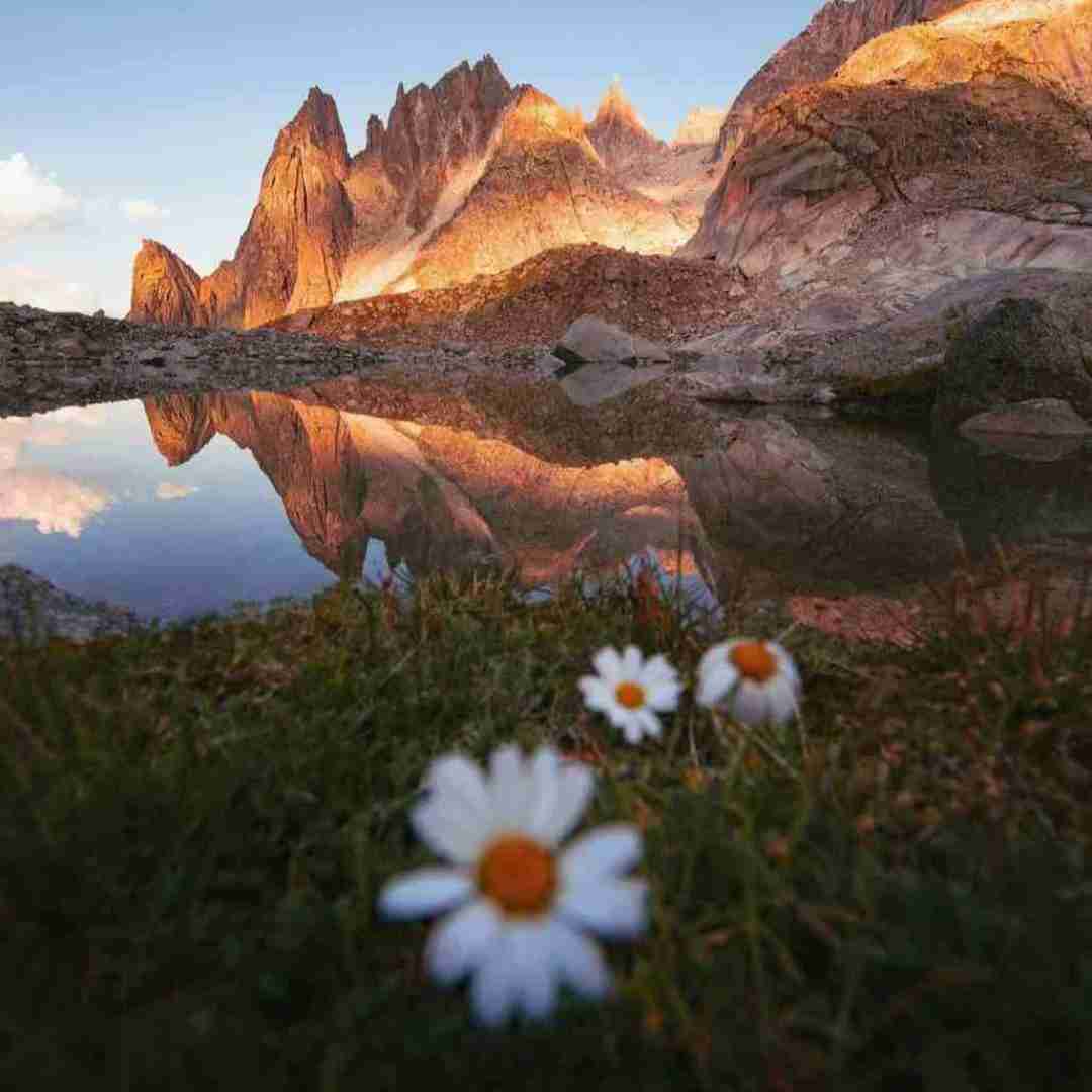 دنیا نمیخواست مارو باهم ببینه میدونم