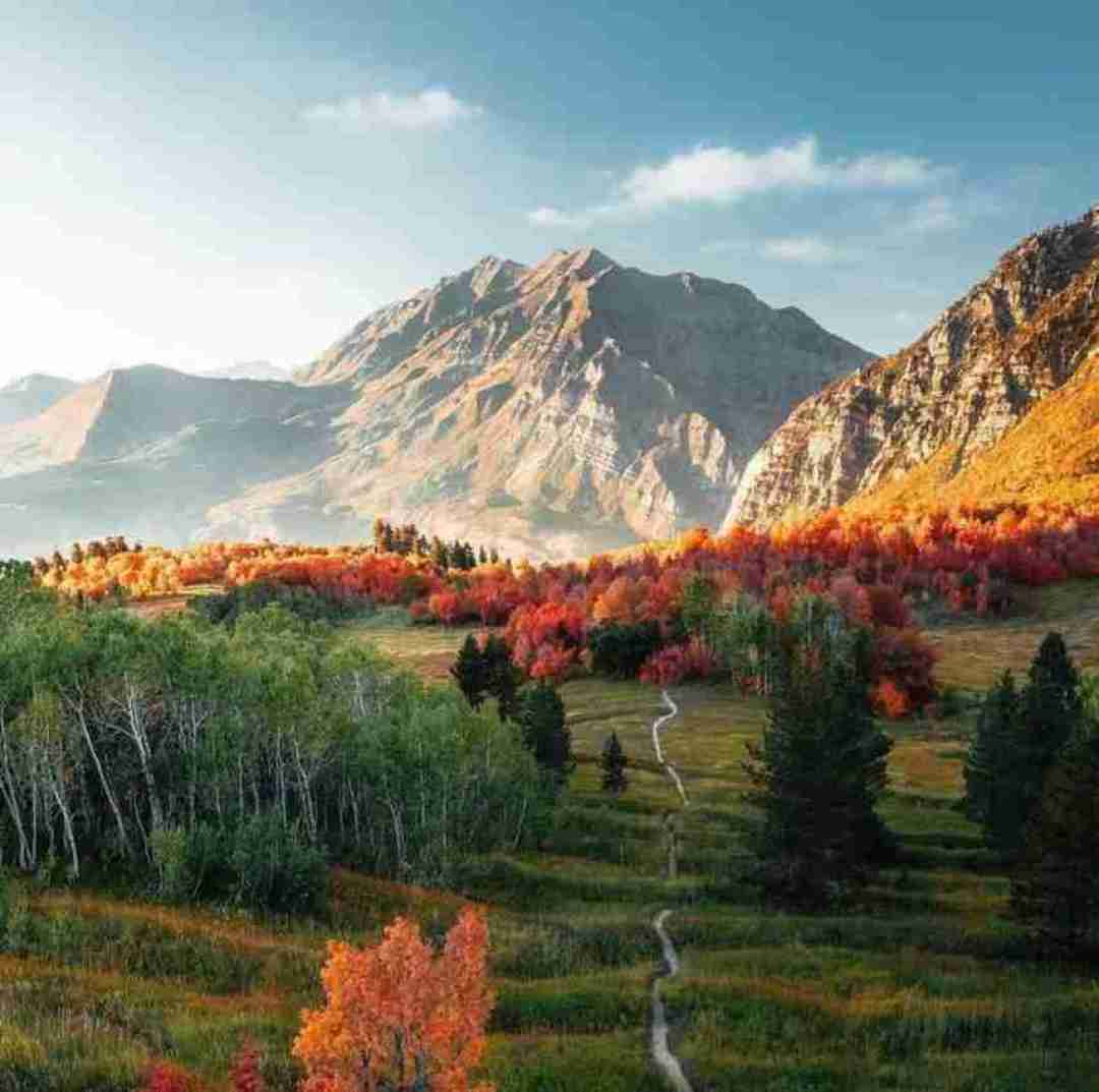 چقد صدات زدم و نکردی نگام اصلا