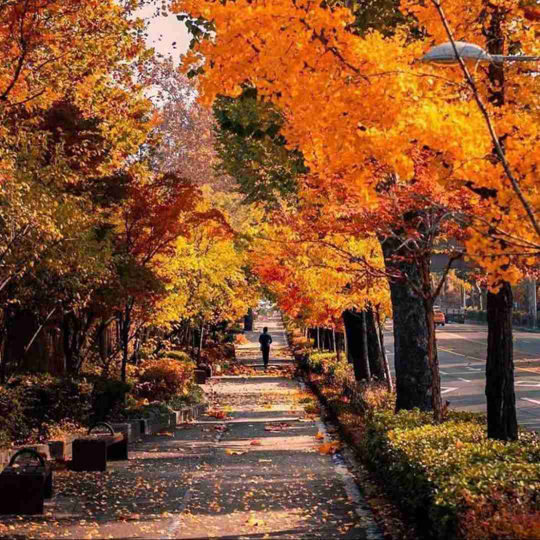 من از هیشکی گله ندارم جز خودم