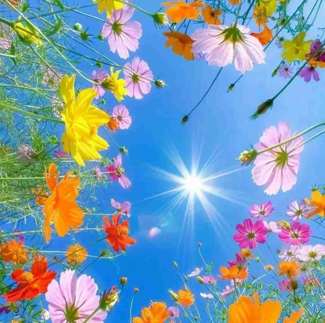 به قشنگی تو چشم های من اصلا ندیده هوش مصنوعی