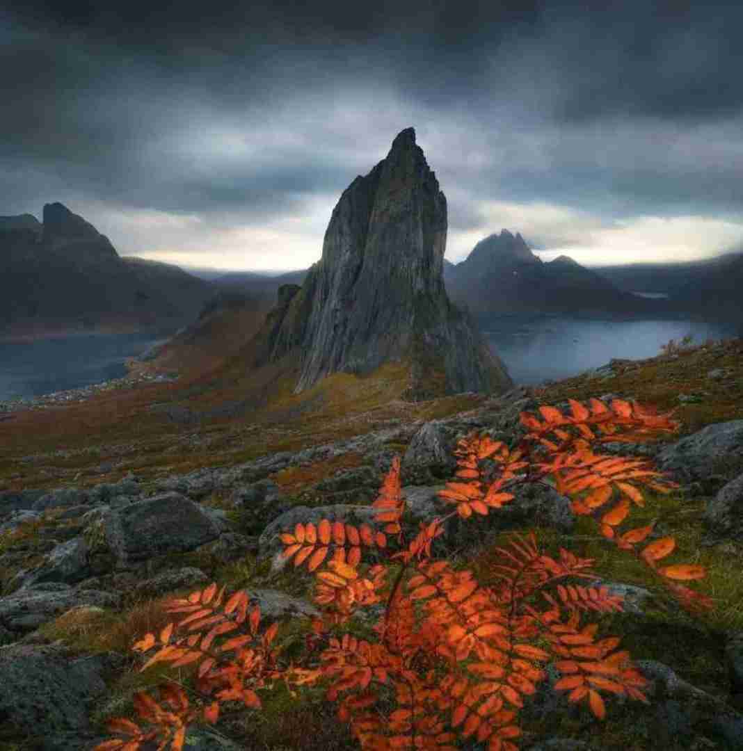 بازیم دادی تو بازیگری تو بگو مگه قول ندادی