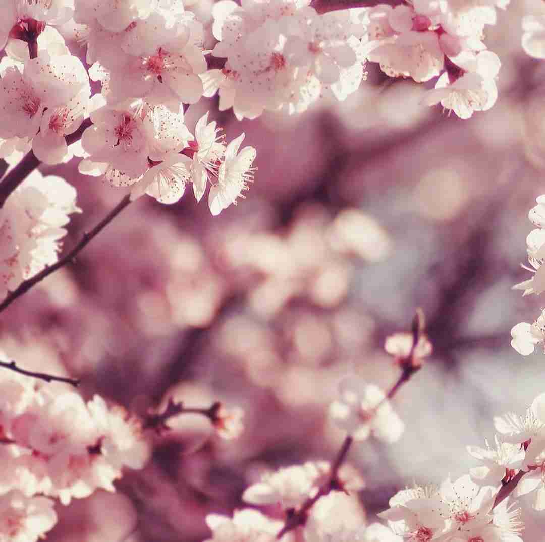 تو خوب میشناسی منو تو یکی بشین با صدای پسر
