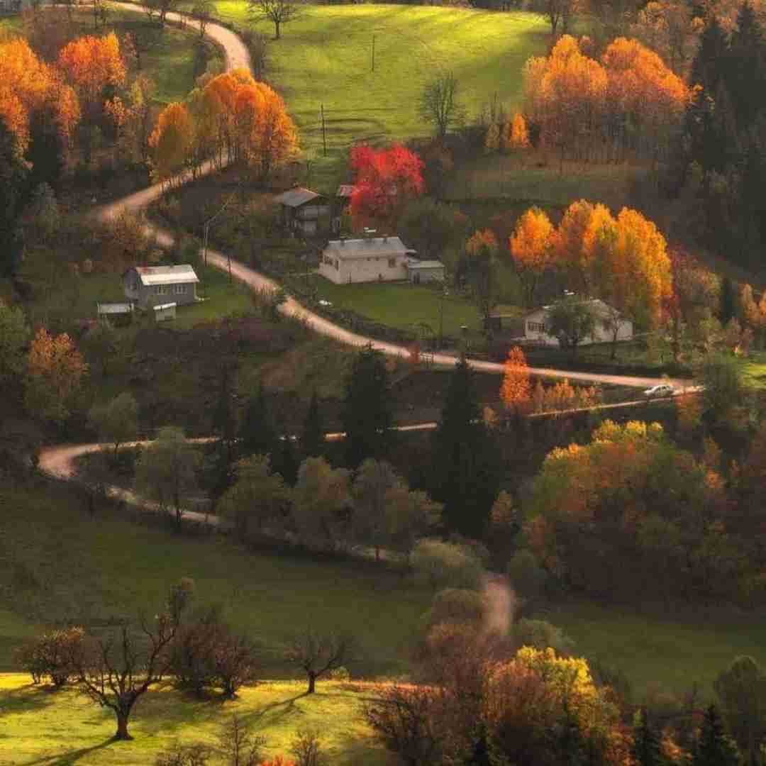 حسودی کنم اسکول به چیت فکر نمیکردم قلدر بشی