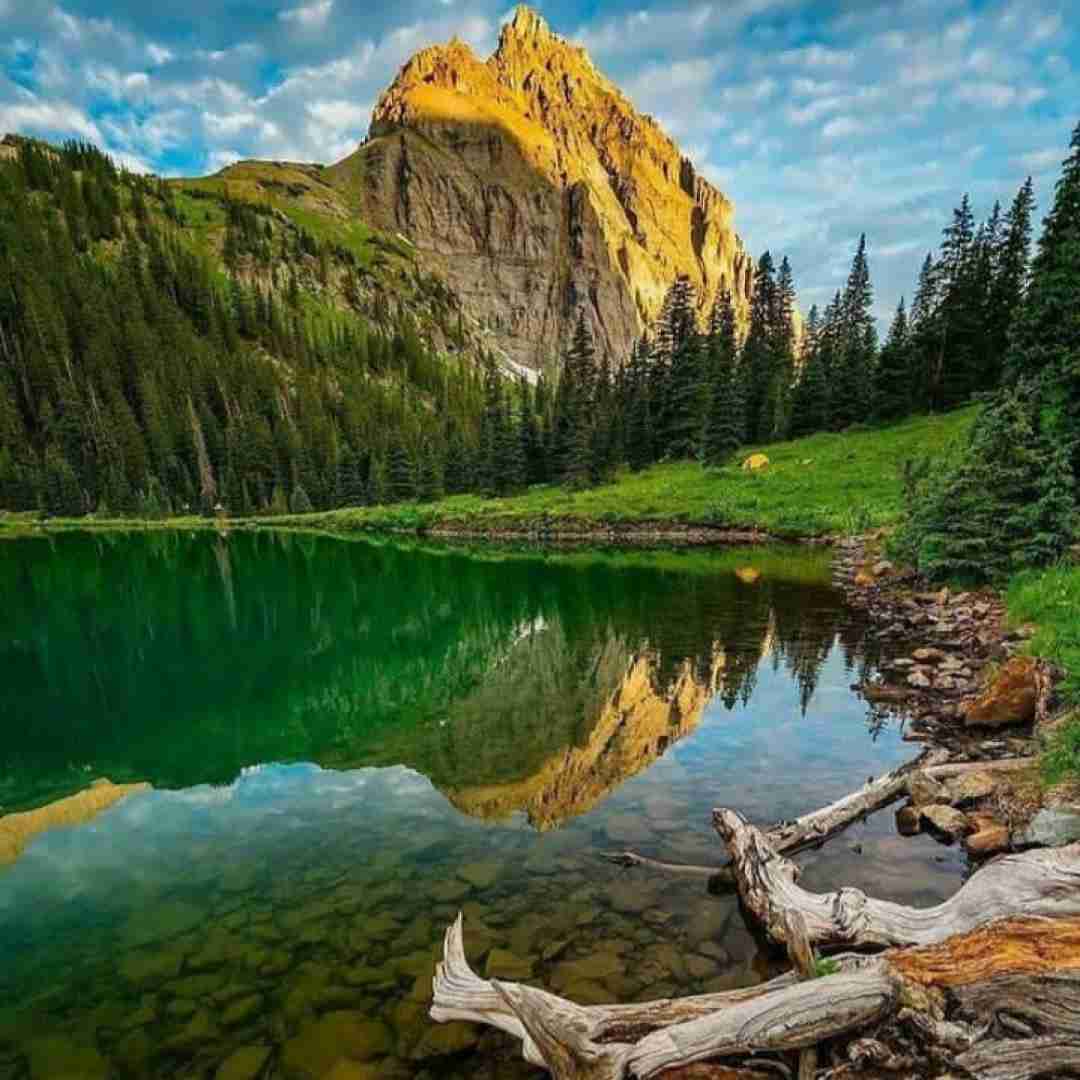 بهم انرژی بده لطفا تا این پاها محکم بشه