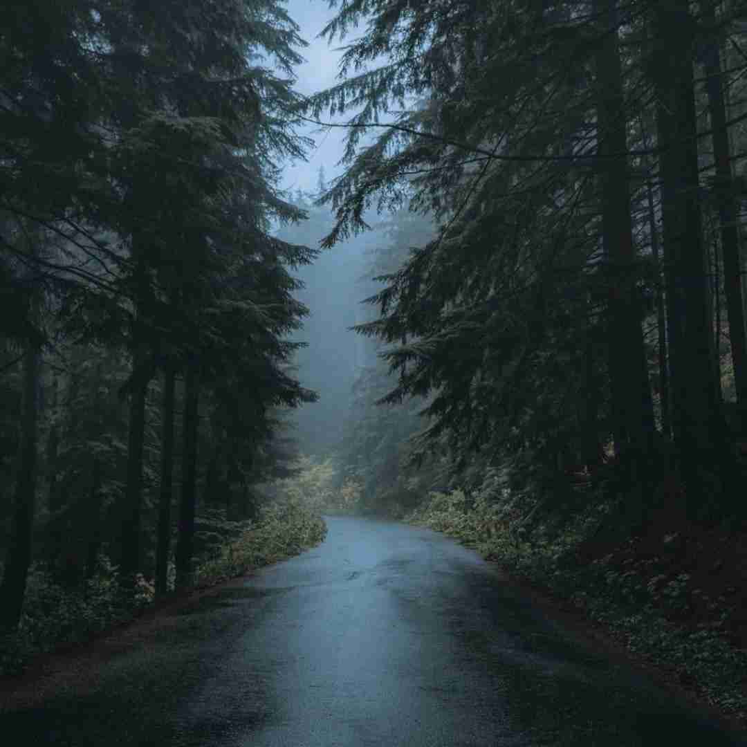 قسم به عشق پاکمون تو رو میخوام ای مهربون هوش مصنوعی