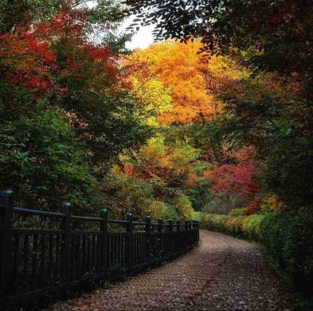 لیلا لیلا میگن که تهش قهره