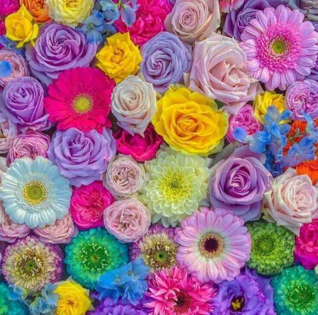 واویلا لیلی کتاب داریم خیلی با صدای بچه