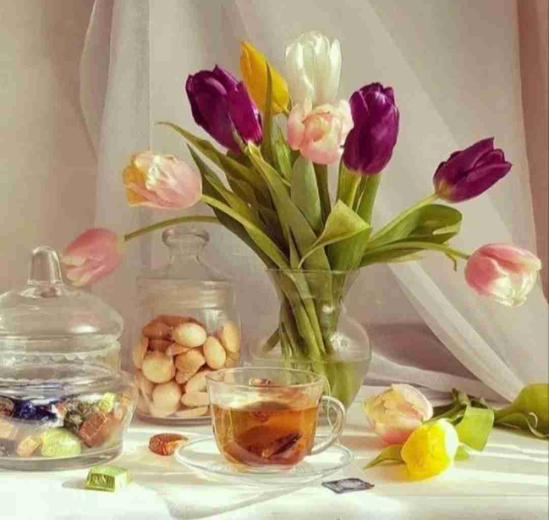 خردادیا باهوشن لباسای شیک میپوشن