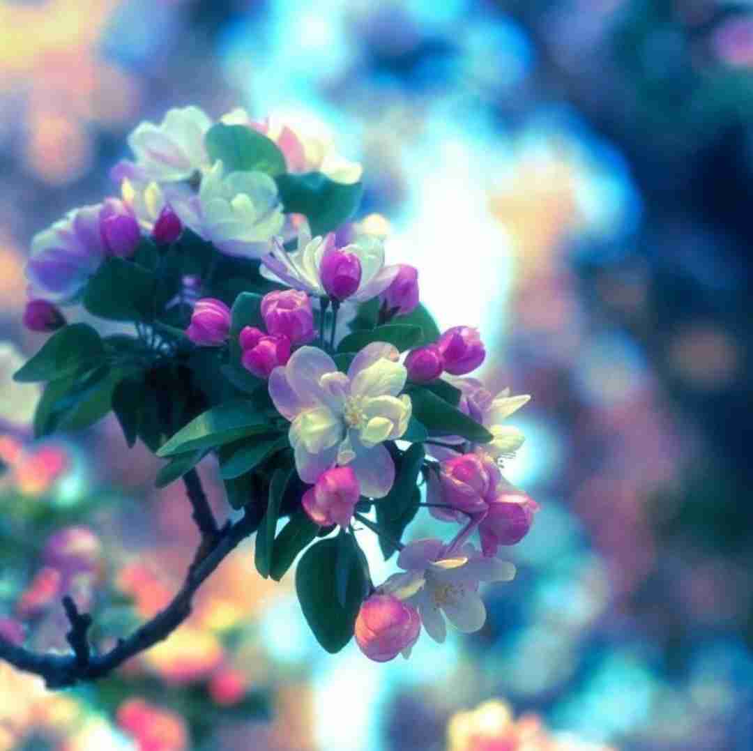  دل منه بردی تو الکی نخندی