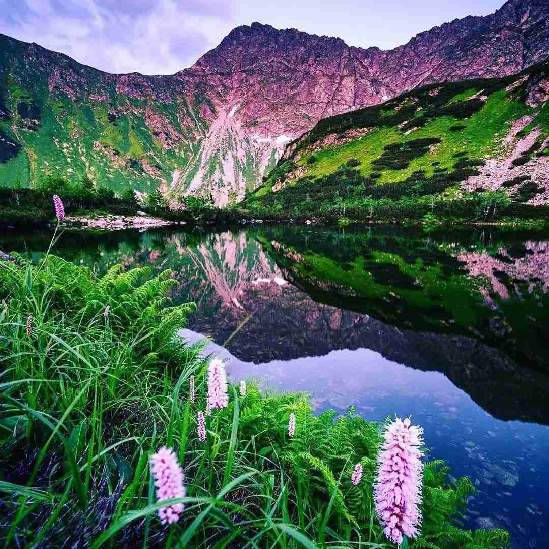 نات کوینو نیستم همسترو آره