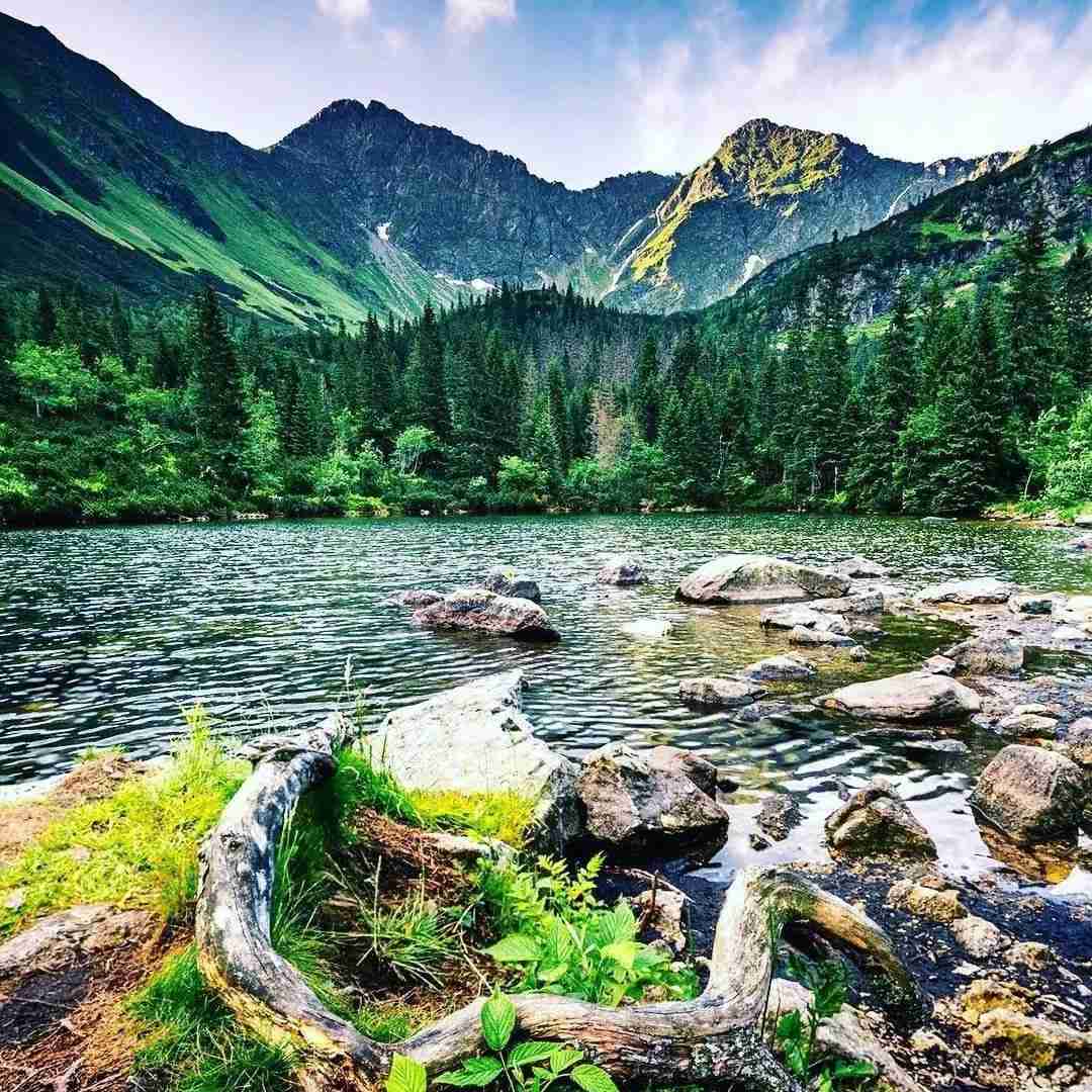 قوس کمر روی بدن از یادم نمیره من