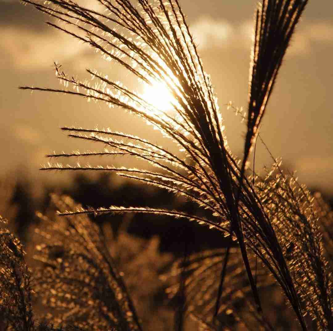 بیبی جون دیگه نمیاد مثل من برات هیچ موقع